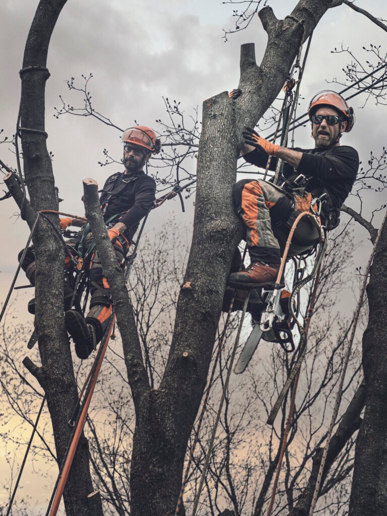 Baumpflege Team Schwerte Über Uns