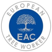European tree worker in Schwerte